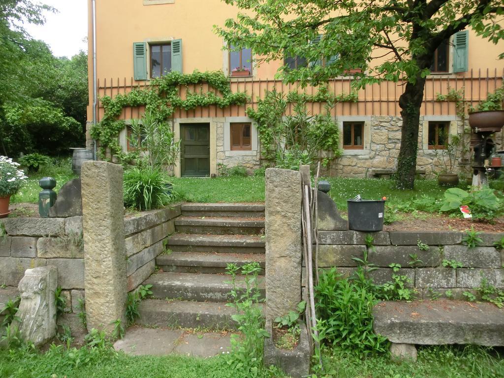 Ferienwohnung Mit Charme In Dresden Pillnitz Εξωτερικό φωτογραφία